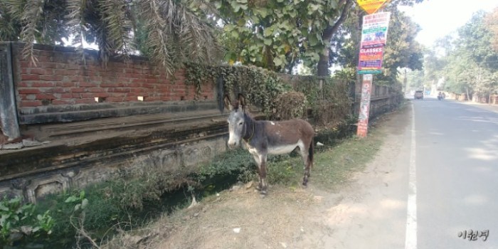 resized_20171231_220829_-1910678054