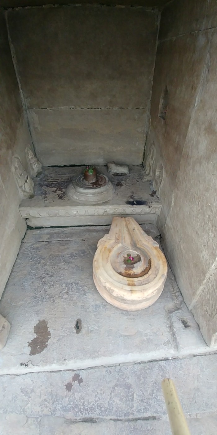 resized_20180103_082821_-1873098994