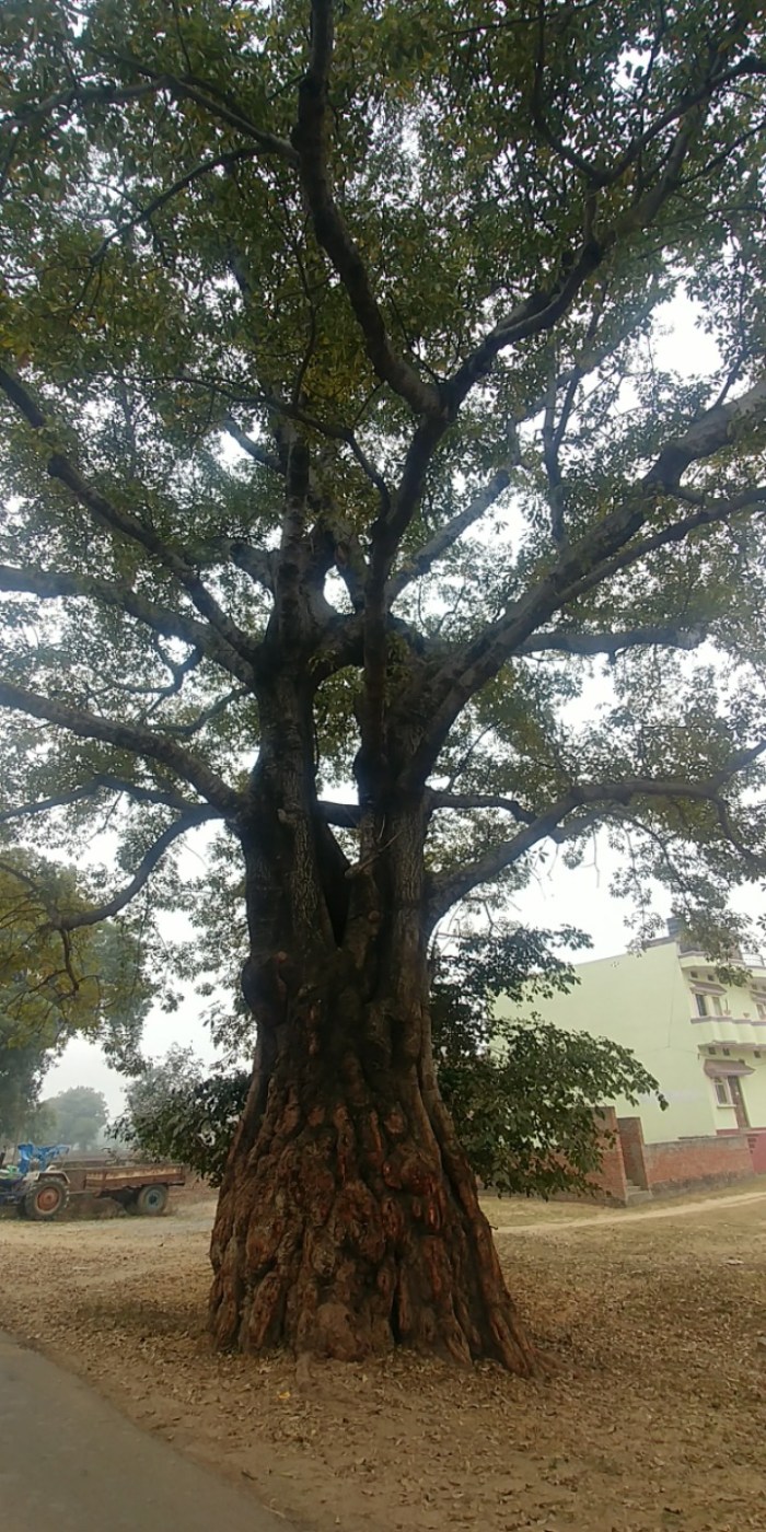 resized_20180103_110645_1131665701