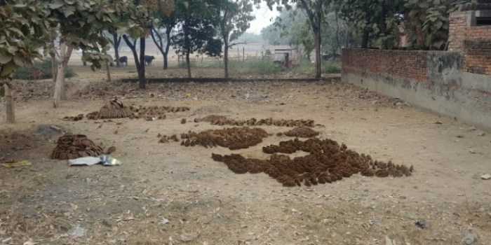 resized_20180103_110646_-977508081