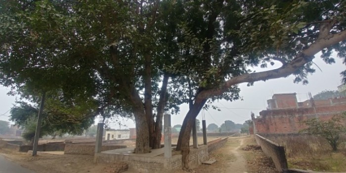 resized_20180103_110646_735224569