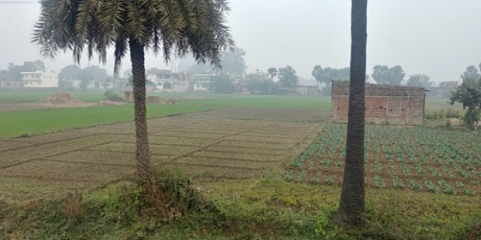 resized_20180104_201344_437908721