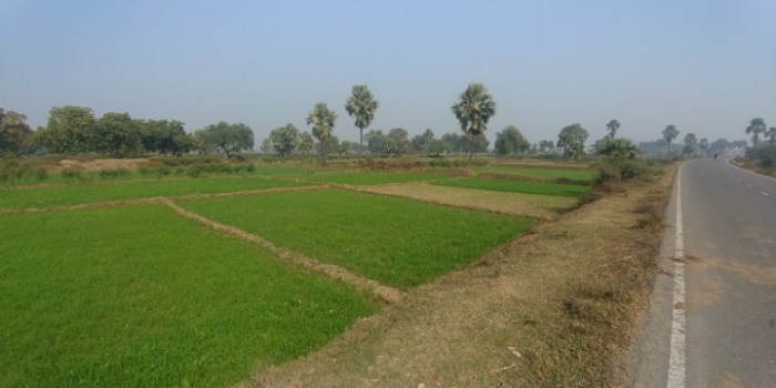 resized_20180104_201346_-224012351