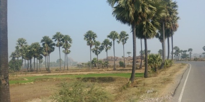 resized_20180104_201346_712477495