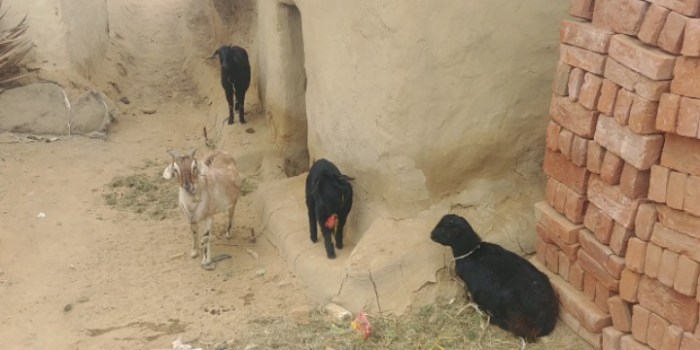 resized_20180105_182125_-1832329353