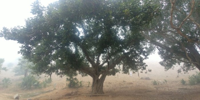 resized_20180105_182125_181047757