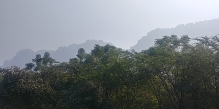 resized_20180105_182127_-1709387961