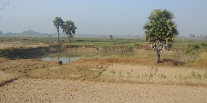 resized_20180105_182128_1687080373