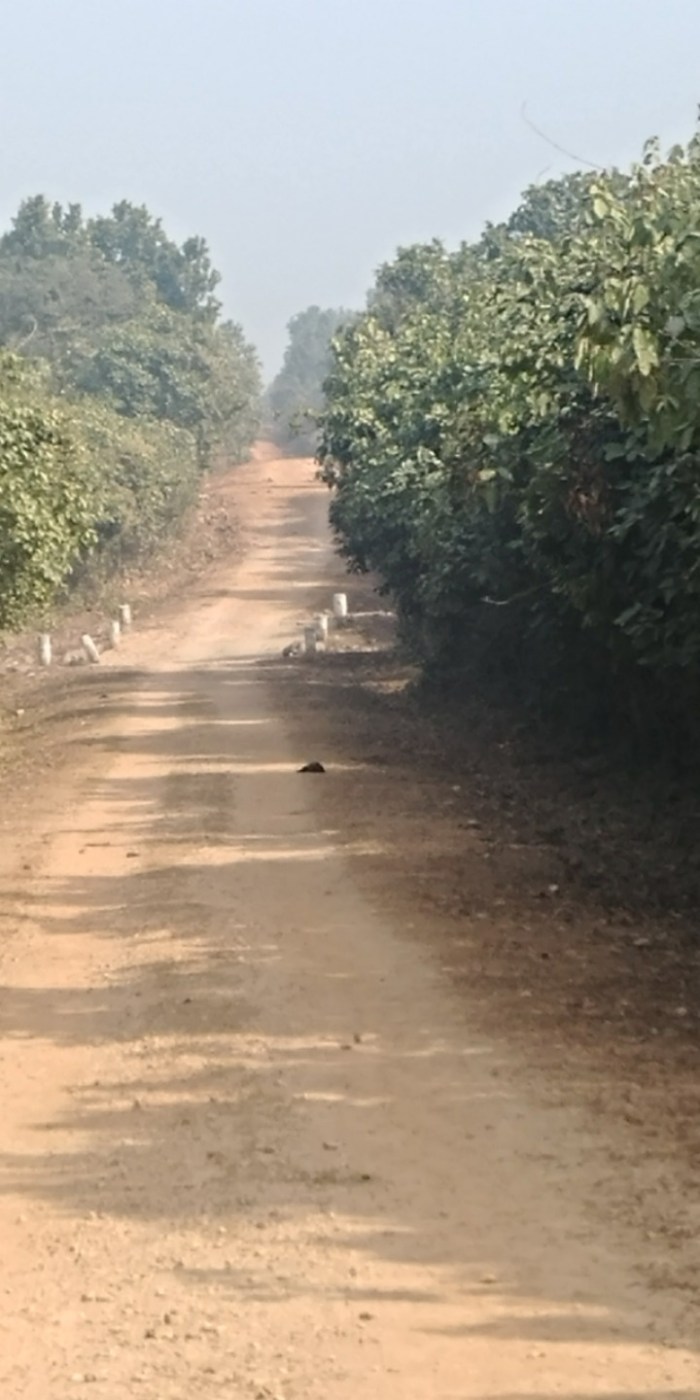 resized_20180106_175156_582348292