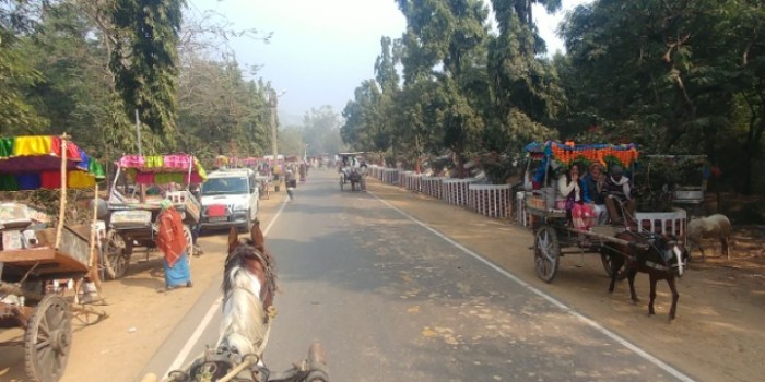 resized_20180109_025714_-1760524487