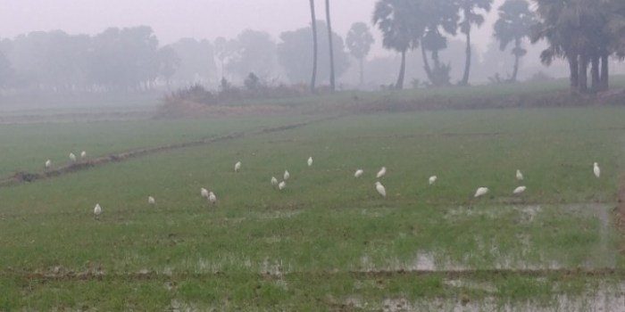 resized_20180111_001811_1863570092