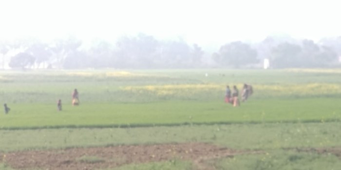 resized_20180111_002319_-1290560872