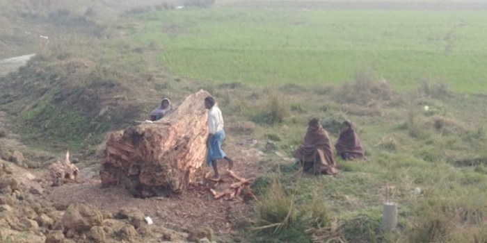 resized_20180111_002319_-247723868