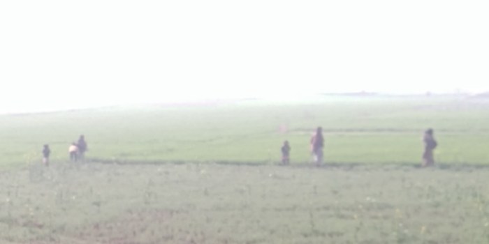 resized_20180111_002319_1662999956