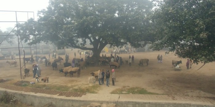 resized_20180111_162750_-1963355085