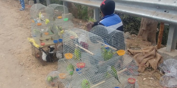 resized_20180113_035707_-973667083