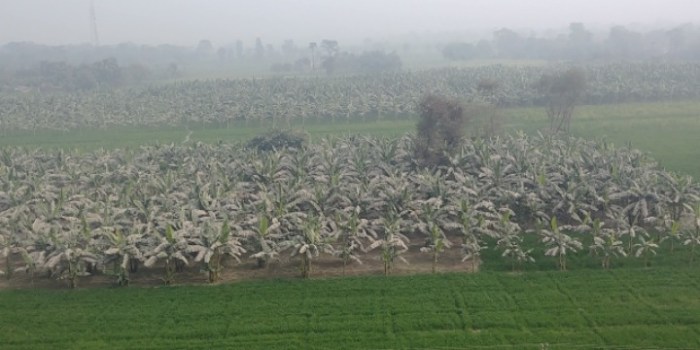 resized_20180113_035708_1526208646