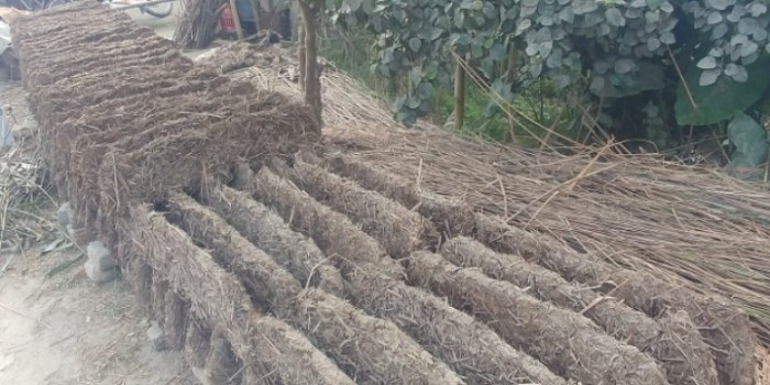 resized_20180114_033522_-1436890452