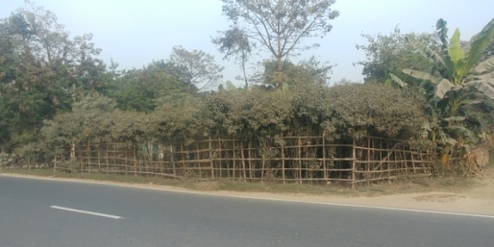 resized_20180114_033522_-1474088586