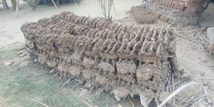 resized_20180114_033522_1245794170