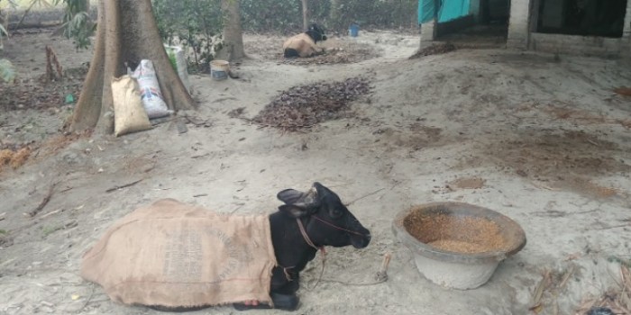 resized_20180115_082815_-1139736443