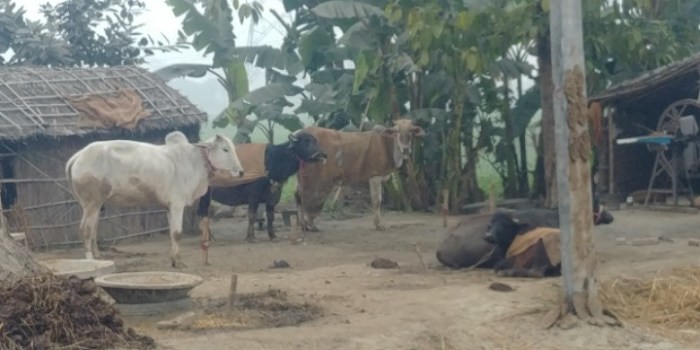 resized_20180115_082815_-1775513704