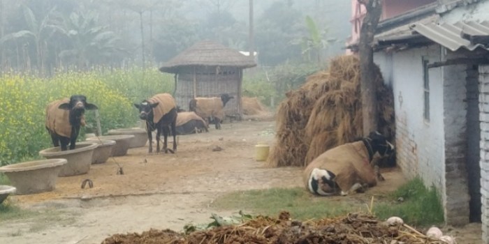 resized_20180115_082815_256262604