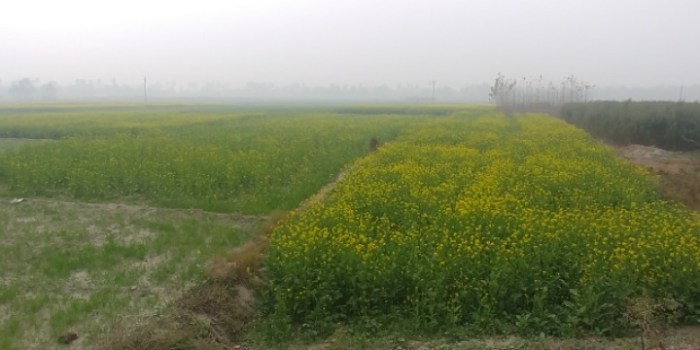 resized_20180116_011938_-1326034933