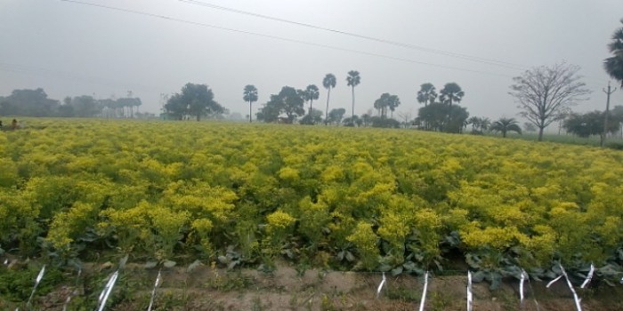 resized_20180116_011938_339453030