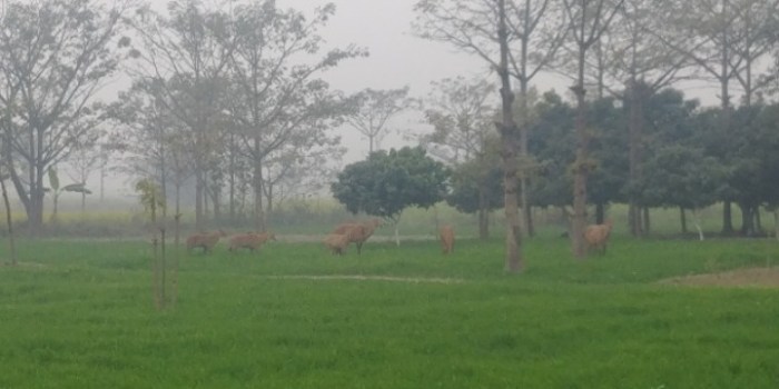 resized_20180117_020259_-1266317655