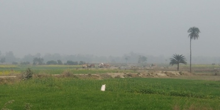 resized_20180117_020259_-1360372377