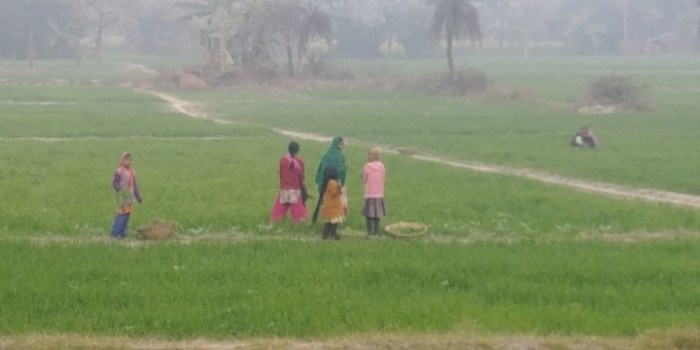 resized_20180117_020259_-1907193403