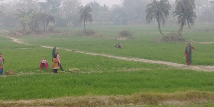 resized_20180117_020259_1261380837