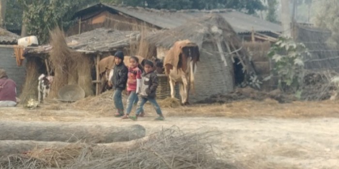 resized_20180117_020259_1572259183