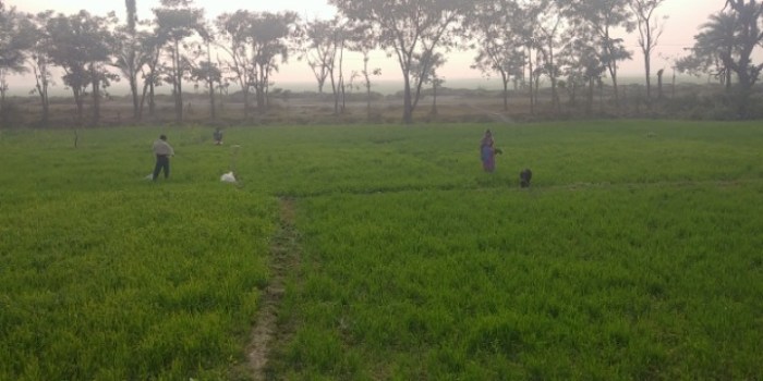 resized_20180117_020259_286232580