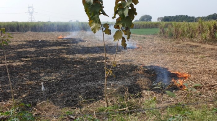 0e4b6e265486e7561b874aad55455e8ae0d6f6cb