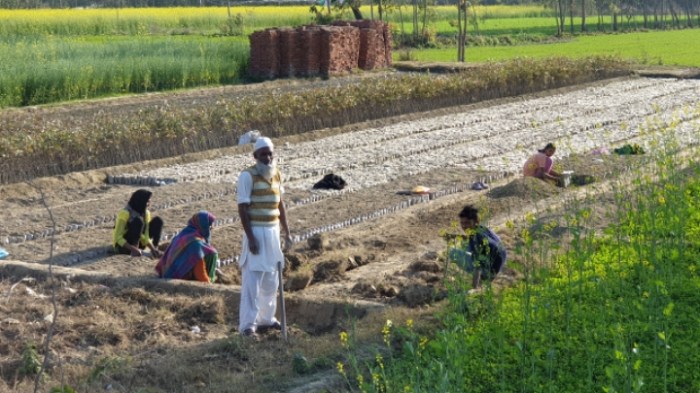 36cd931e8141c07f0945960c0c15250d3cd7bcac