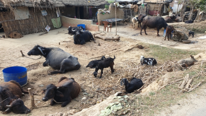 403dd10d594bb1b1f0fb77ddb3df5fead8d8532f