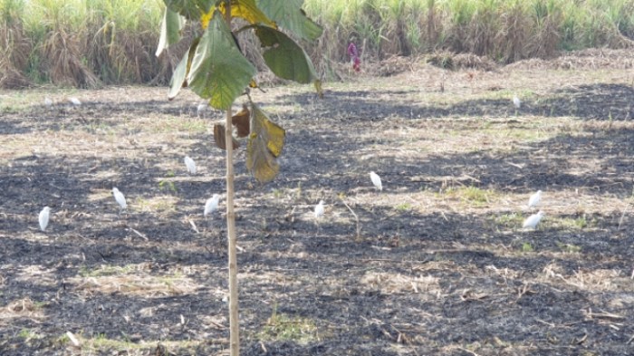 41a468b51debadba33522da551bdf117af350fbc