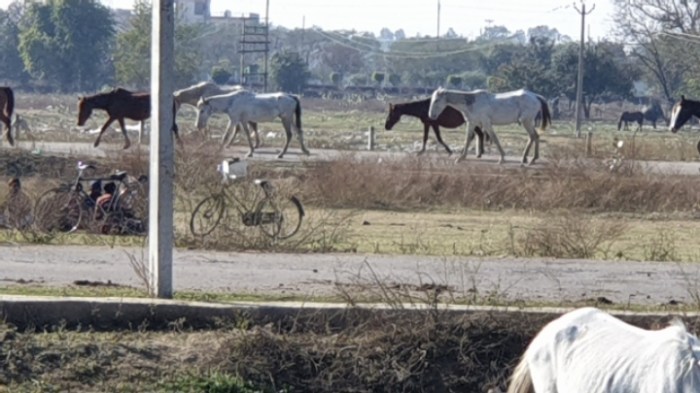 4501823adc2d8f80a2bee9e50562a2bf886927a2