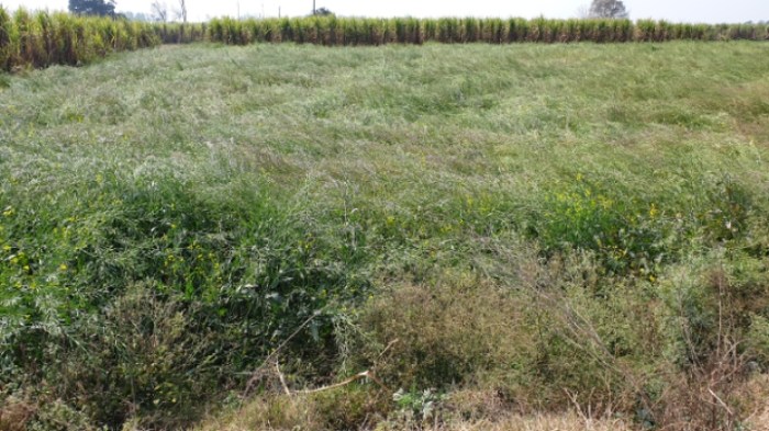 4d33c5b9af7fd75fca45063dbc33e2c804258632