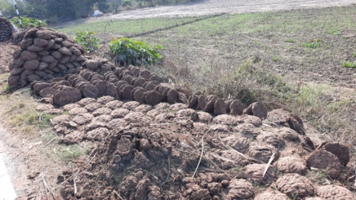 680e4c4695bdc39e677b6c6edf77e172fb90b94e