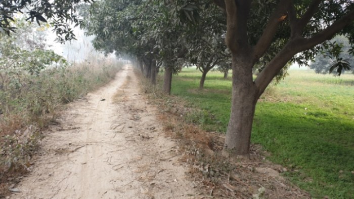 6b14a31d5b6f4c7faf625f8b1cc6281d001dd9f0