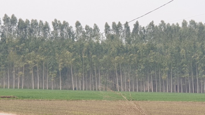 75069ae385894d1a91543756e2062c216dcda976