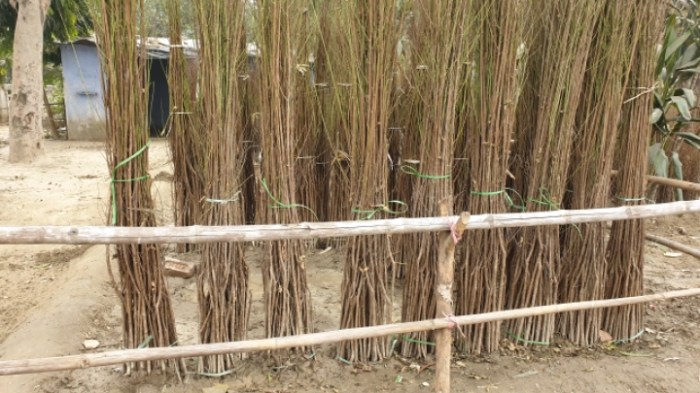 76d090f0c96850286226ab1a5c0f52d4eb150917