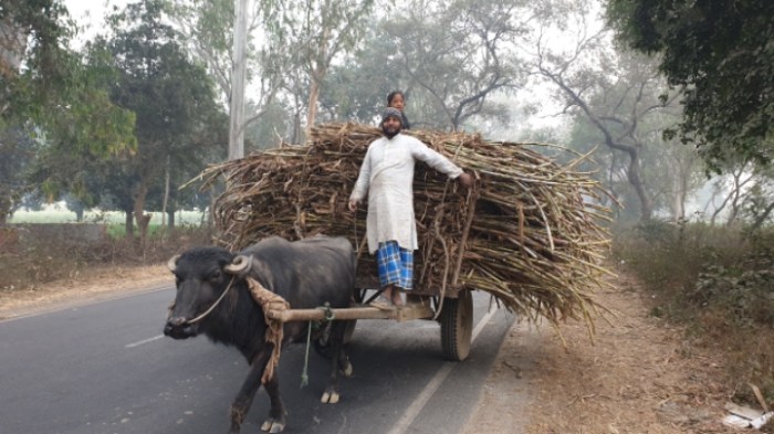 7a9dab87fdbd1b623c7c0f67836670cc545fe85d