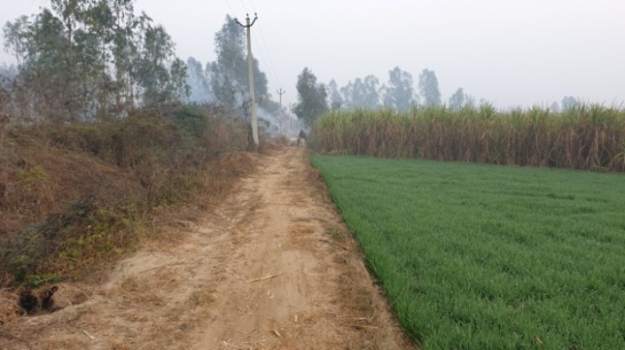 9079197096e80df791eb789030c64285c4afa61c