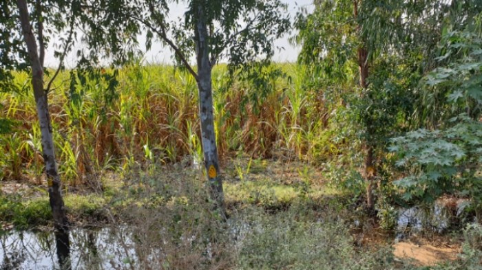 97e1039af9b69cfa1945364f9d1de4a32498d33c