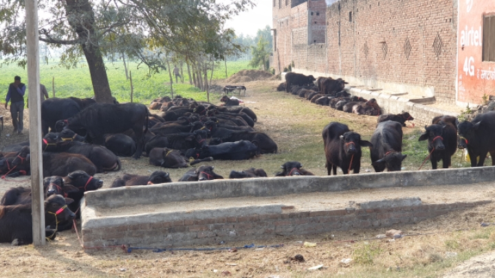 9fa85e02c1230ee90bd92899284f2f0b00ce3c96