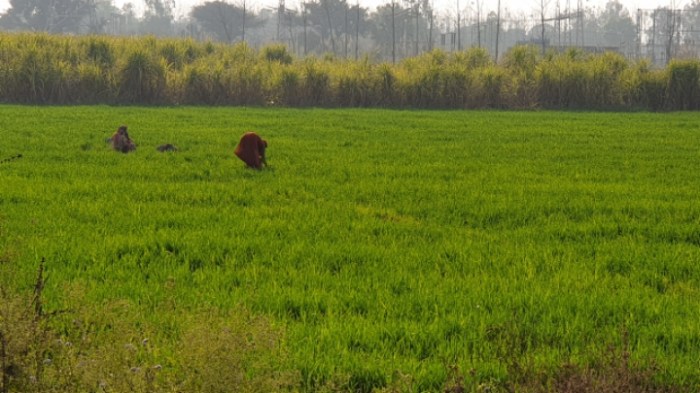 a8780227e4907bb3f430bcafc22e928a4ac20954